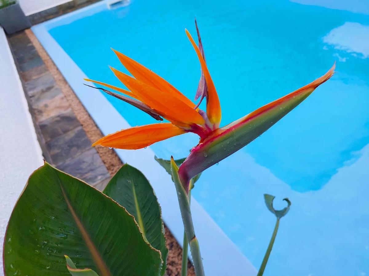Golden Square Villa & Private Pool Flic-en-Flacq Екстериор снимка